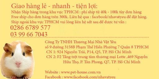 TOP 10 cửa hàng bán Hamster ở Sài Gòn: Công ty TNHH Thương MạI Nhà Vật Yêu
