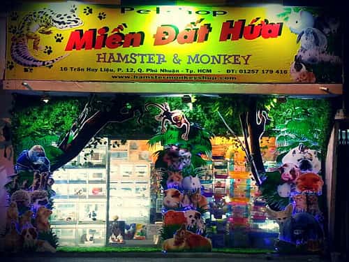 TOP 10 cửa hàng bán Hamster ở Sài Gòn: HAMSTER SHOP MIỀN ĐẤT HỨA