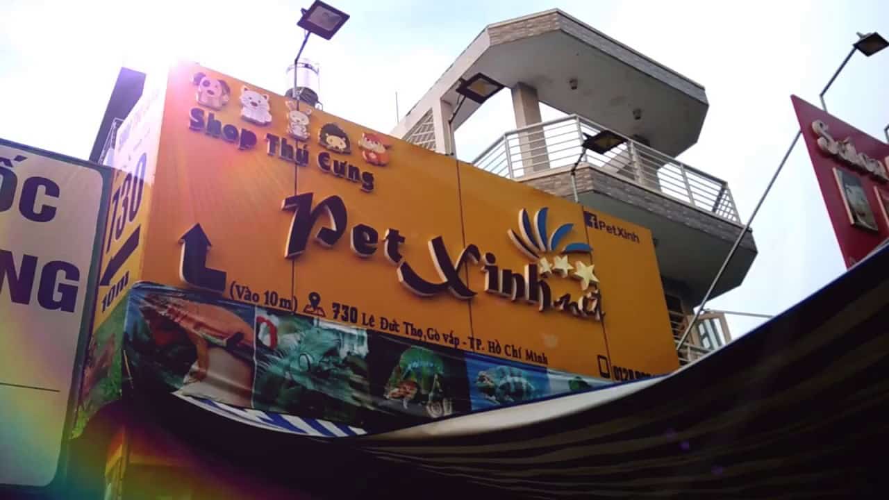 TOP 10 cửa hàng bán Hamster ở Sài Gòn: PetXinh.net
