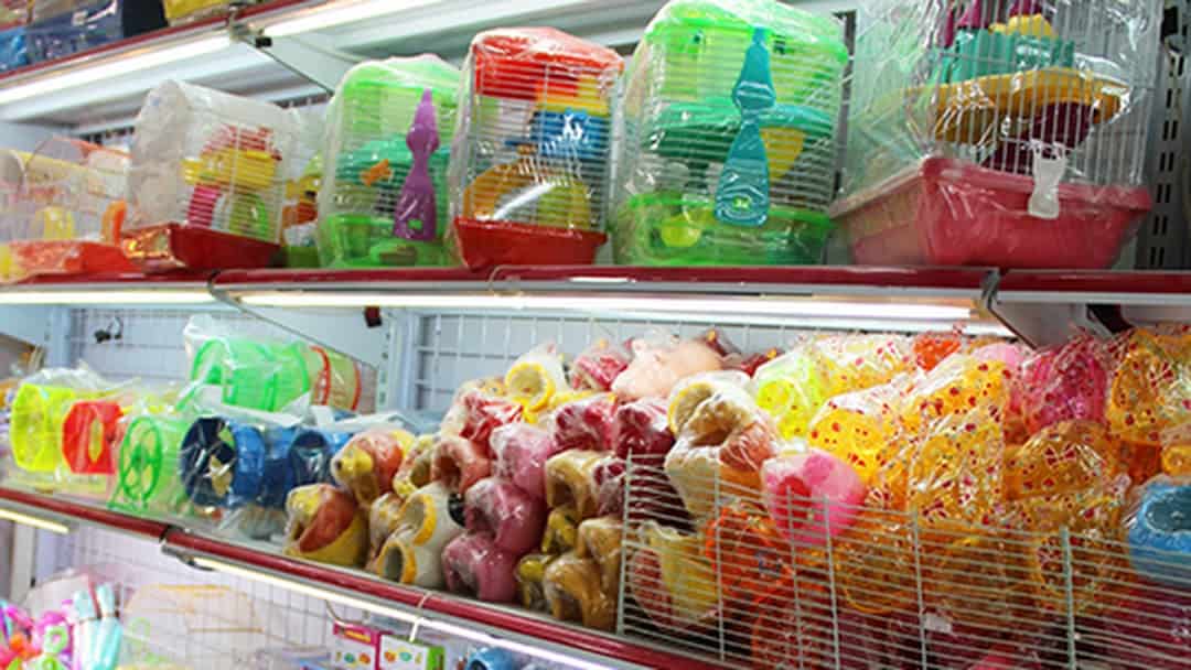 TOP 10 cửa hàng bán Hamster ở Sài Gòn: Yahoo Pet Shop