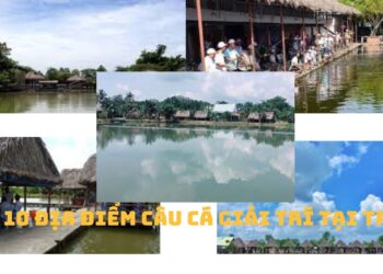 Top 10+ địa điểm câu cá giải trí tại TPHCM
