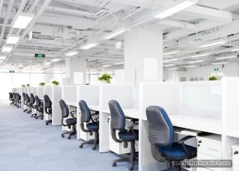 Vệ sinh Nhà Việt – Đơn vị giặt ghế văn phòng chuyên nghiệp TPHCM